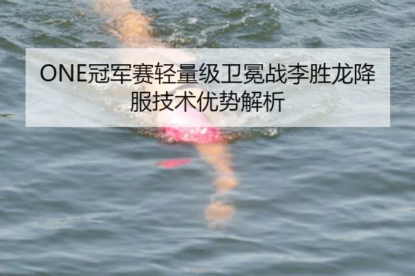 ONE冠军赛轻量级卫冕战李胜龙降服技术优势解析